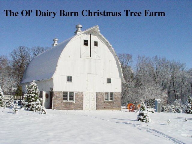 Main photo of our old dairy barn.